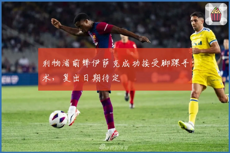 利物浦前锋伊萨克成功接受脚踝手术，复出日期待定